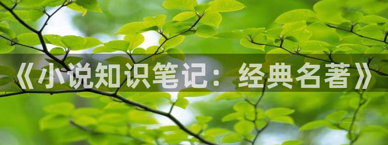 息壤中文网网站：《小说知识笔记：经典名著》